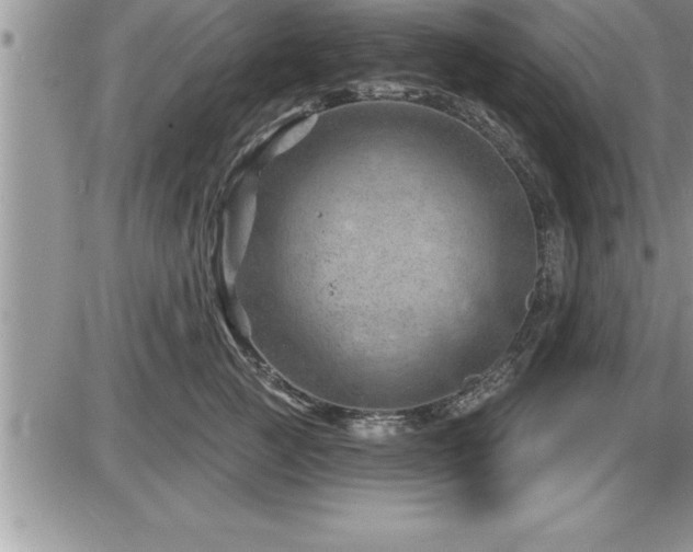 X0000087590761200705041509