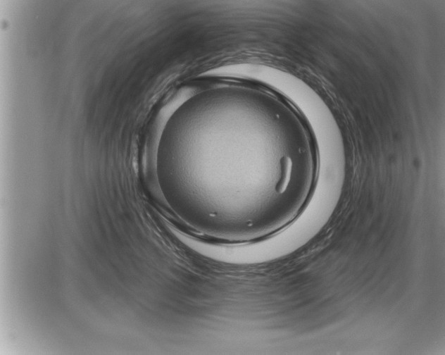 X0000087590762200705041509