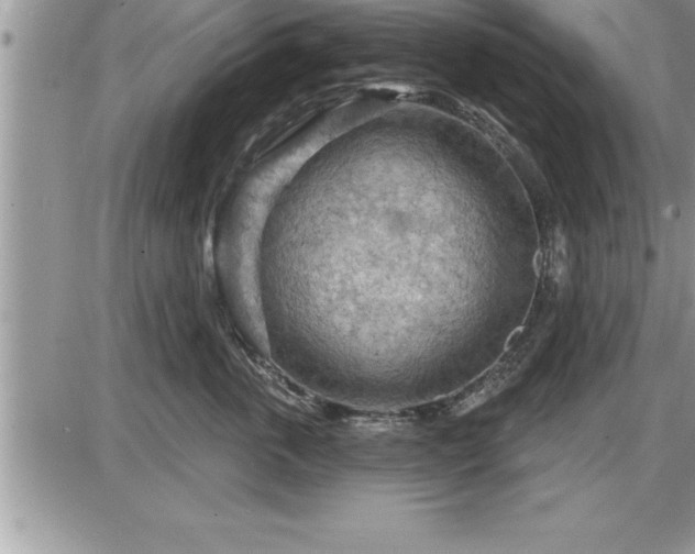 X0000087590763200705041509