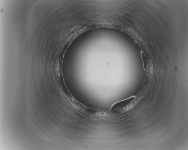 X0000087590764200705041509