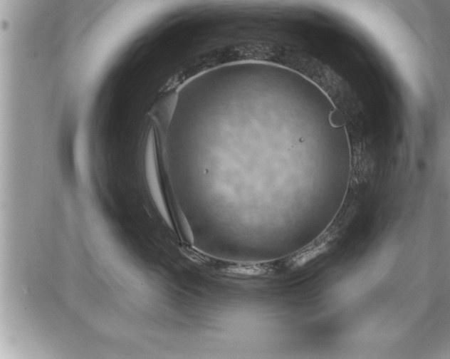 X0000087590765200705041509