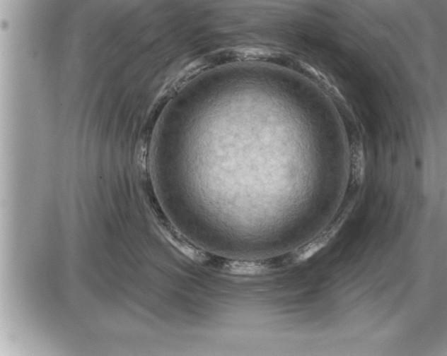 X0000087590766200705041509