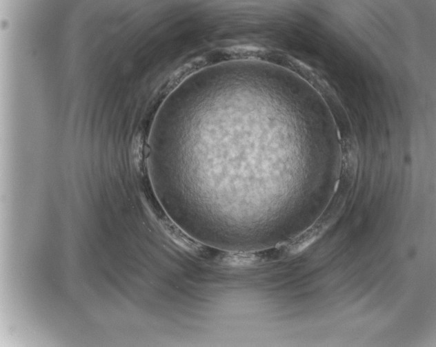 X0000087590767200705041509