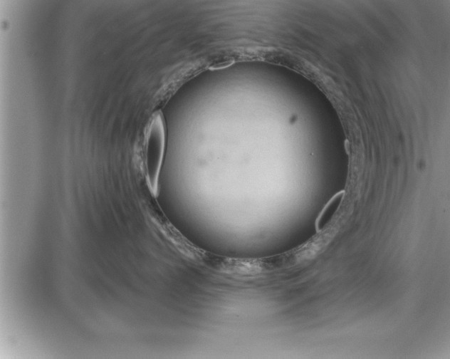 X0000087590768200705041509