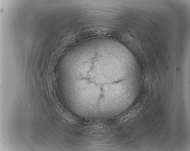 X0000087590769200705041508