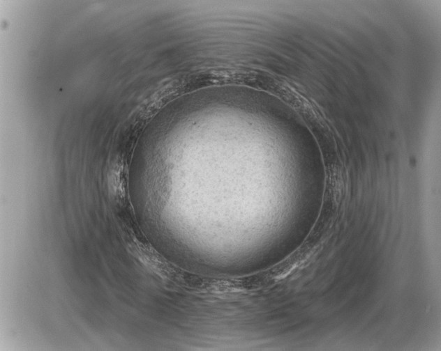 X0000087590770200705041508