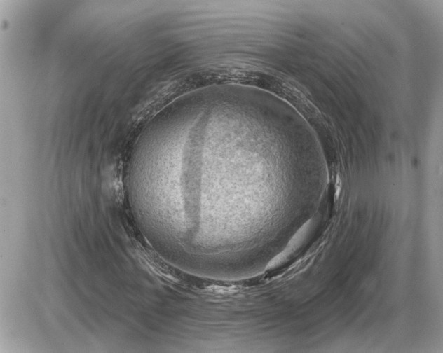 X0000087590771200705041508