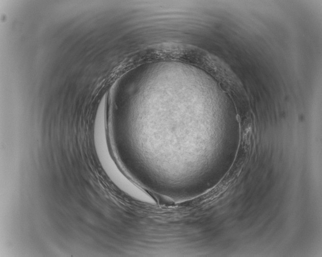 X0000087590772200705041508