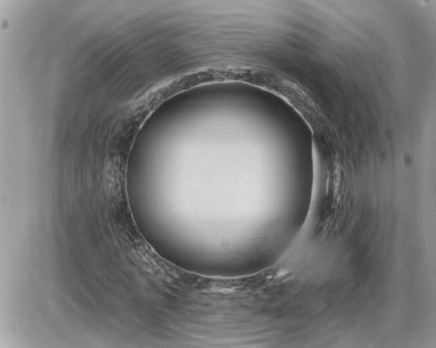 X0000087590773200705041508