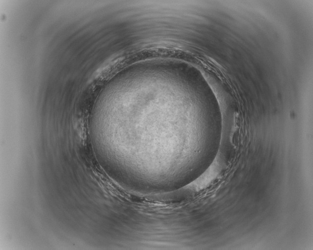 X0000087590774200705041508