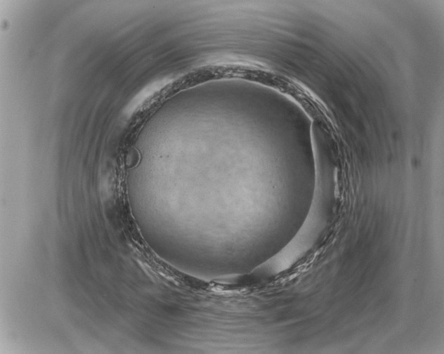 X0000087590775200705041508