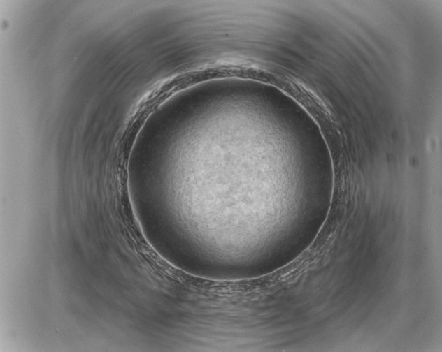 X0000087590776200705041508