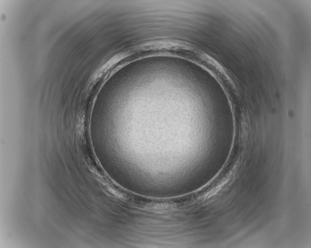 X0000087590778200705041508