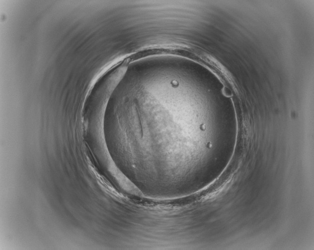 X0000087590779200705041508