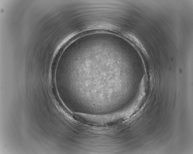 X0000087590780200705041508