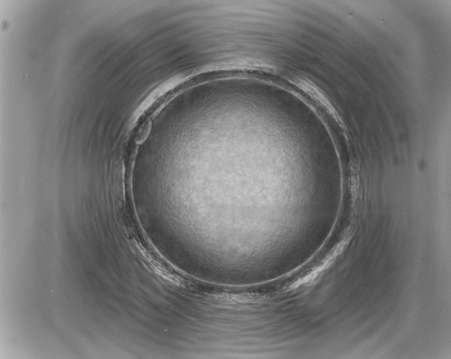 X0000087590781200705041508