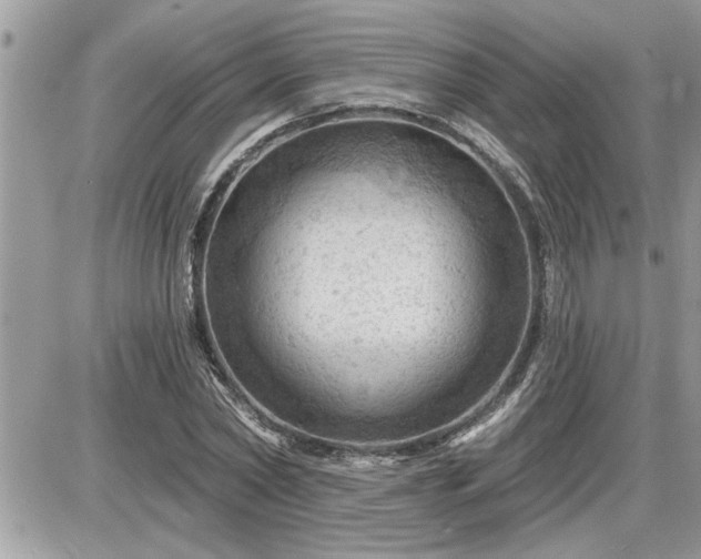 X0000087590782200705041508