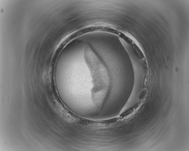 X0000087590783200705041508