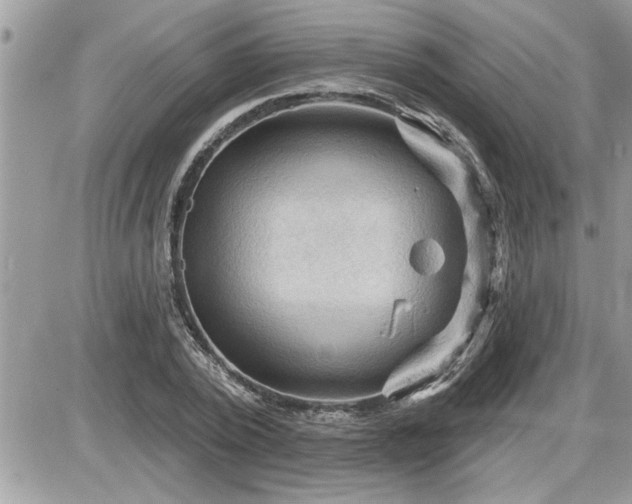 X0000087590784200705041508