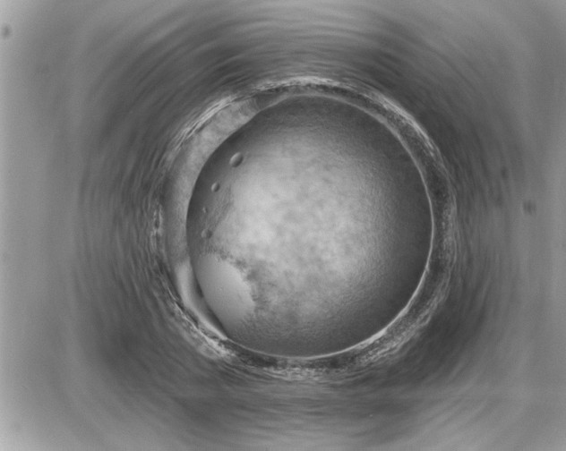 X0000087590785200705041508