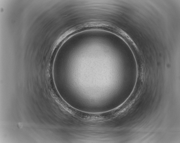 X0000087590786200705041508