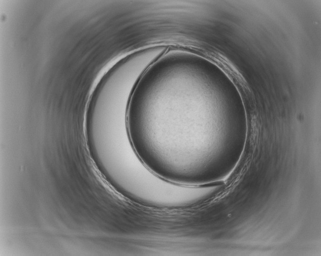 X0000087590788200705041508