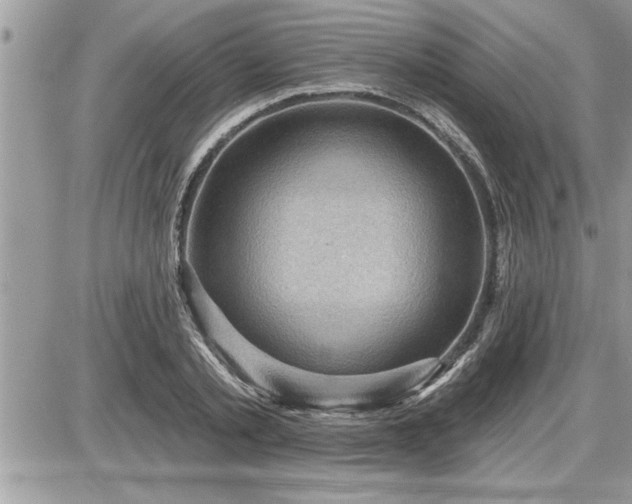 X0000087590789200705041508