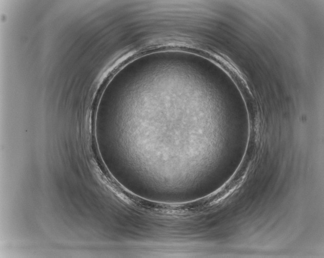 X0000087590790200705041508