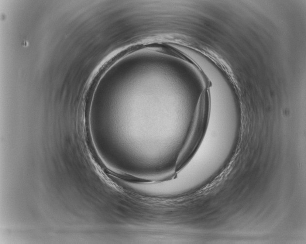 X0000087590792200705041508