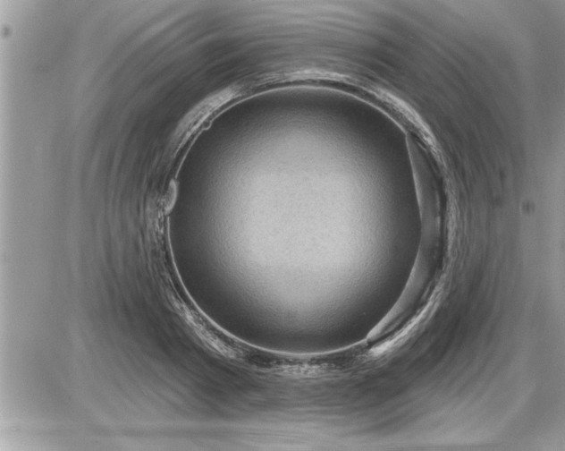 X0000087590793200705041508