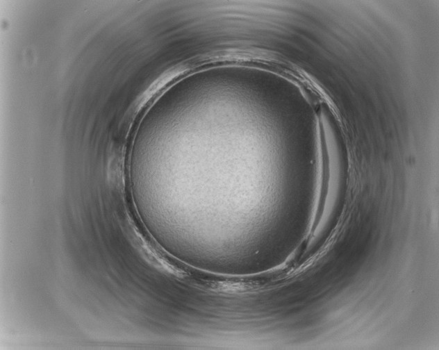 X0000087590794200705041508