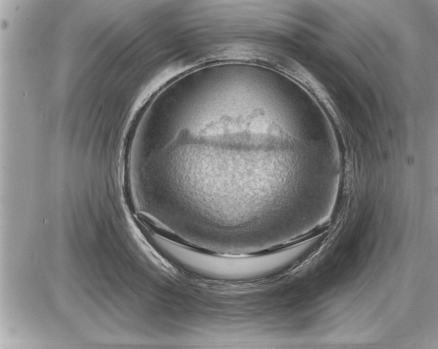 X0000087590795200705041508