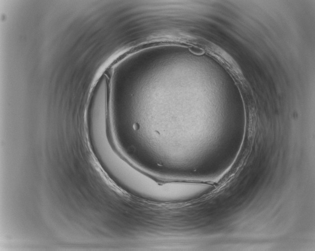 X0000087590796200705041508