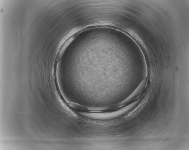 X0000087590797200705041507