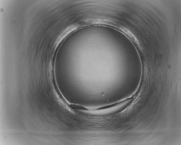 X0000087590798200705041507