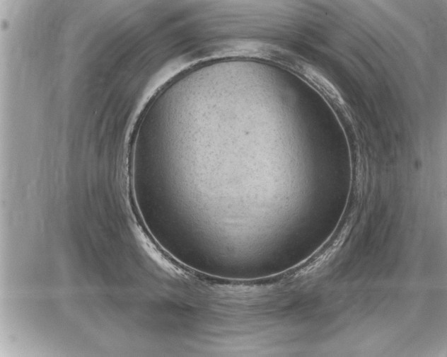 X0000087590800200705041507