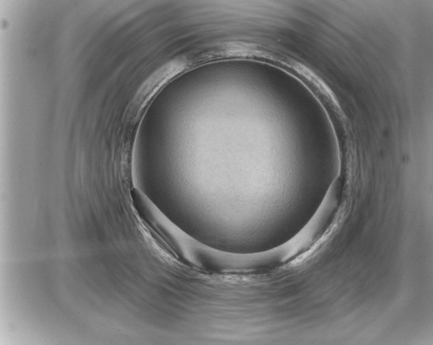 X0000087590801200705041507