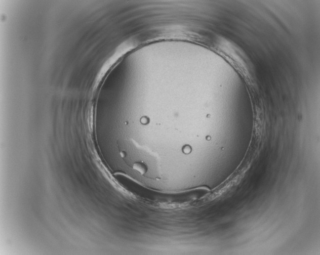 X0000087590804200705041507