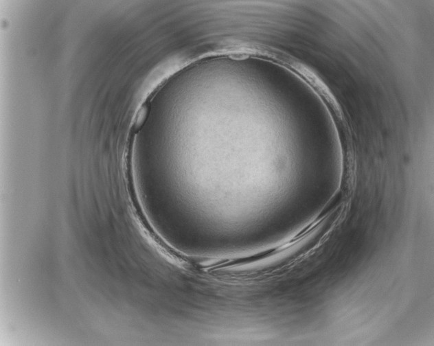 X0000087590805200705041507