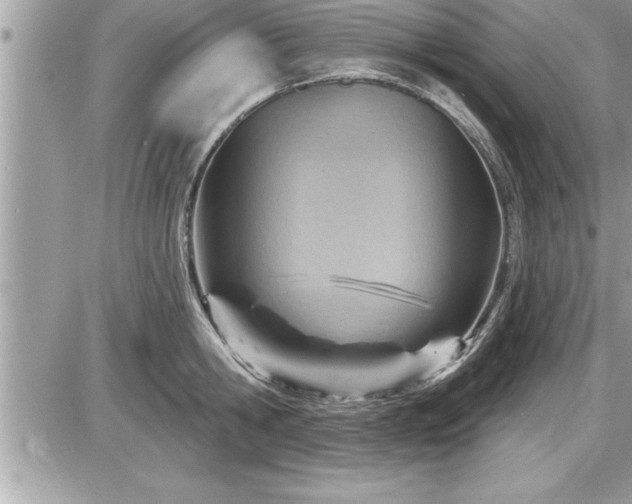 X0000087590806200705041507