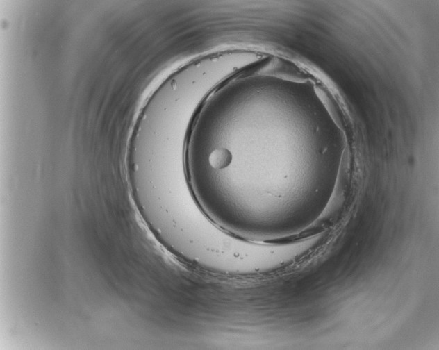 X0000087590807200705041507