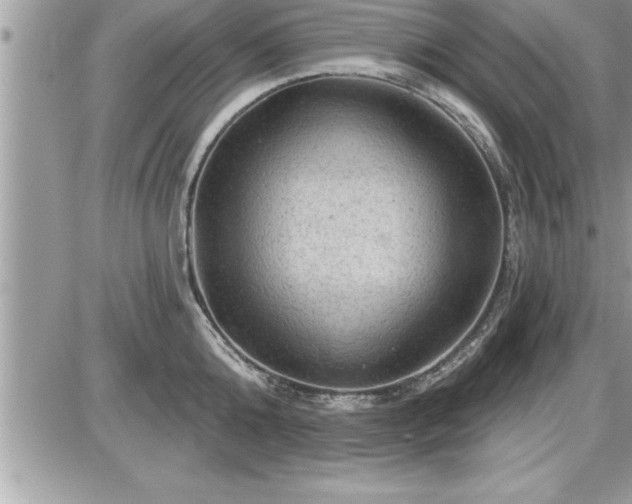 X0000087590808200705041507