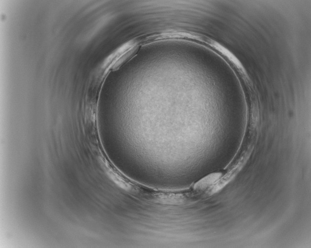 X0000087590809200705041507