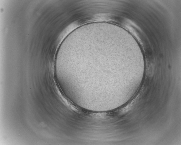 X0000087590810200705041507