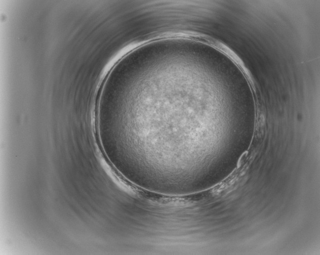 X0000087590811200705041507