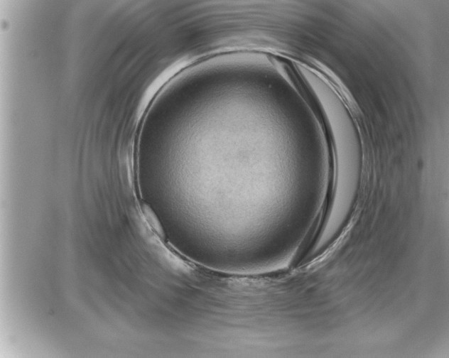 X0000087590812200705041507