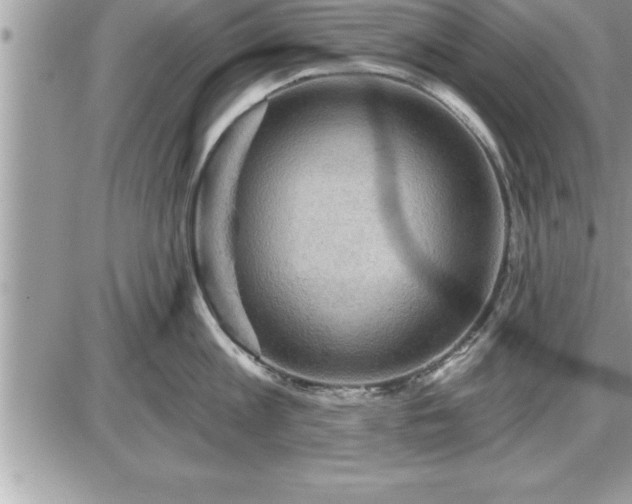 X0000087590813200705041507