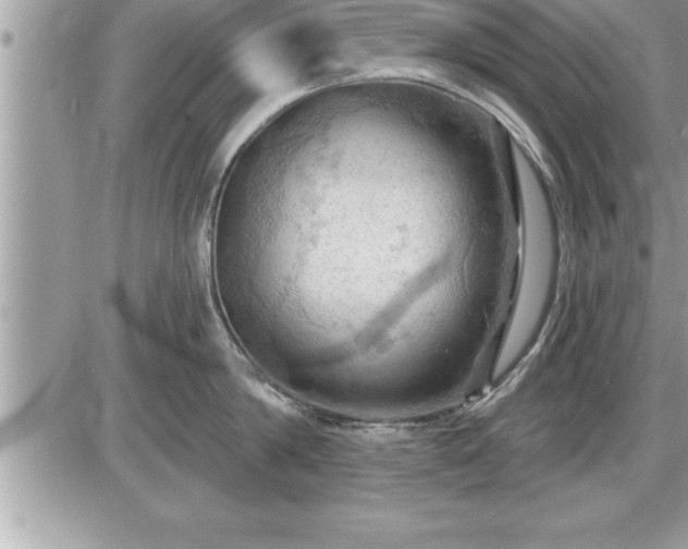 X0000087590814200705041507