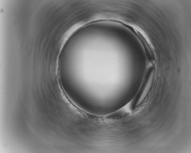 X0000087590815200705041507