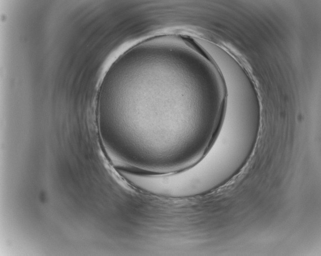 X0000087590816200705041507